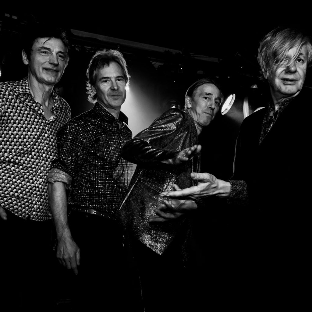 THE FLESHTONES